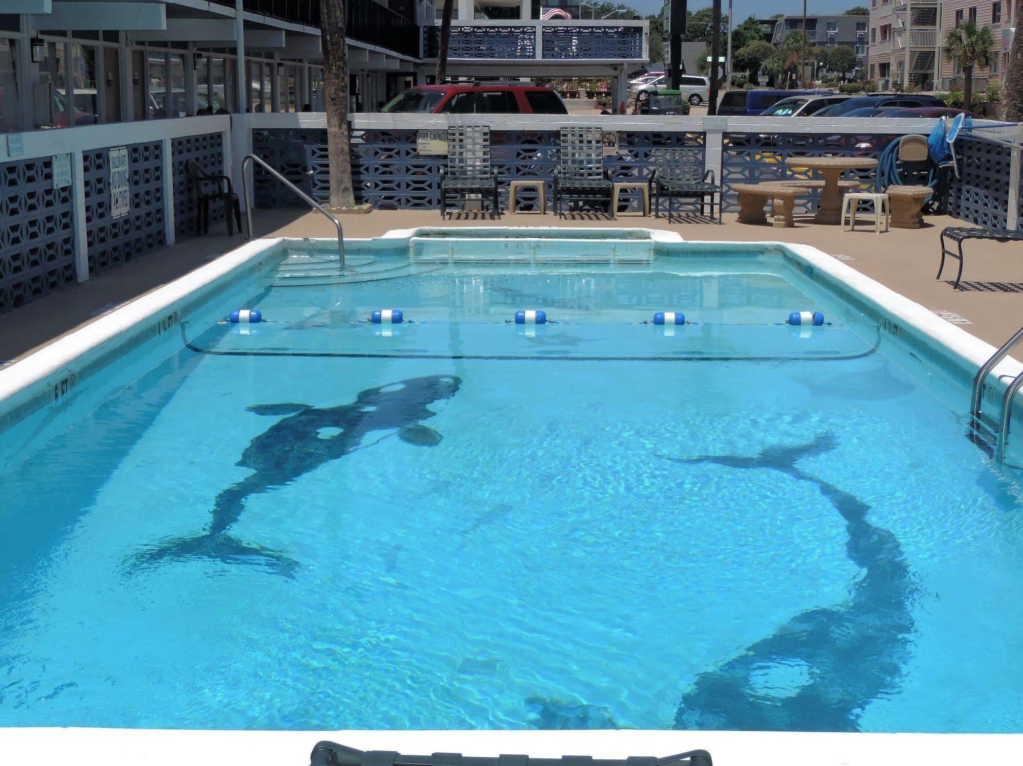 Sea Hawk Oceanfront Motel Myrtle Beach Exterior photo